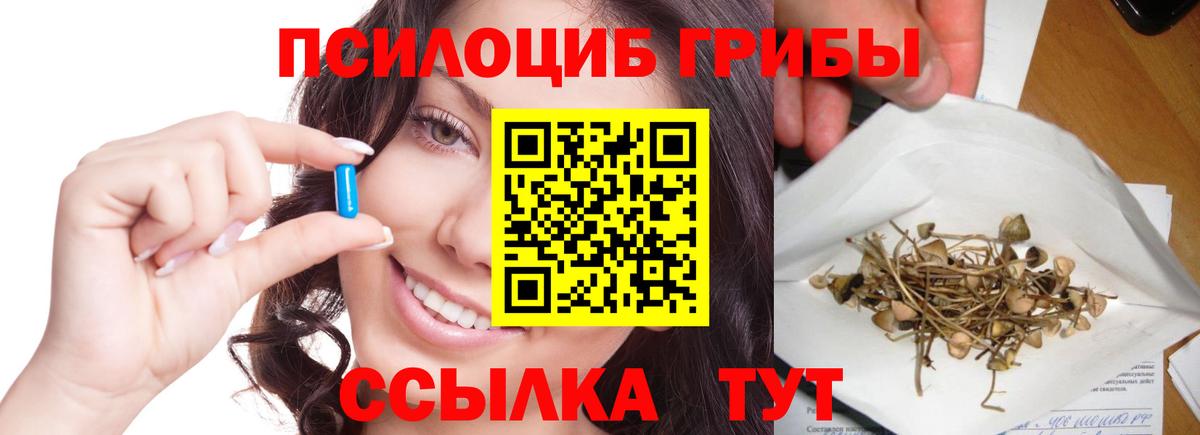 Псилоцибиновые грибы ЛСД  Вход с VPN  купить наркотики сайты  Ипатово 