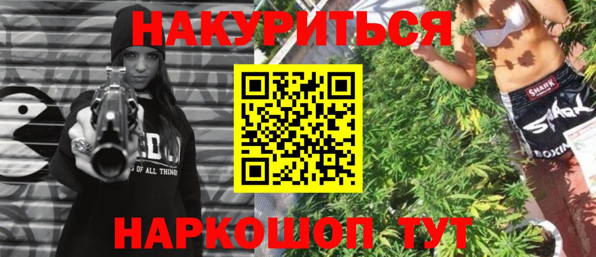 Конопля сатива Ипатово